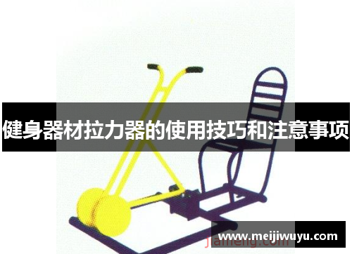健身器材拉力器的使用技巧和注意事项 健身器材拉力器的使用技巧和注意事项